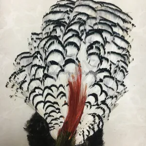 Factory wholesale cheap short natural Amherst chicken feathers