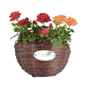 Moda Rattan <span class=keywords><strong>di</strong></span> <span class=keywords><strong>Vimini</strong></span> Fatti A Mano Cesto <span class=keywords><strong>di</strong></span> <span class=keywords><strong>Fiori</strong></span> <span class=keywords><strong>Con</strong></span> Maniglia - Product Image 2