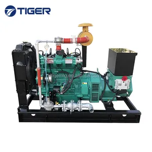 Generator Biogas 3 Fase Kualitas Terbaik, Mesin Gas Weichai 20KW Hingga 200KW