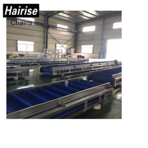 Hairise sıcak popüler içecek endüstrisi düz çalışma modüler bant konveyör - Product Image 4