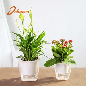 De jardinería decoración de plástico <span class=keywords><strong>rosa</strong></span> de oro de <span class=keywords><strong>la</strong></span> flor olla soporte - Product Image 4