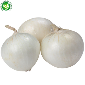 BRC Chứng Nhận Giá Tốt Nhất Trung Quốc Toàn Bộ Hành Trắng Tươi - Product Image 4