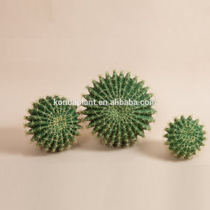 Plantas Suculentas artificiales/Gran Cactus Artificial/Planta de Cactus/<span class=keywords><strong>bonsai</strong></span> Cactus Artificial Al Por Mayor - Product Image 4