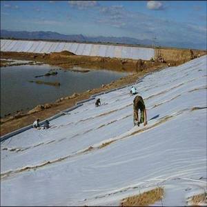 Prodotti per lavori di sterro 150gsm fornitore di geotessile tessuto geotessile non tessuto in polipropilene per ricamo - Product Image 5