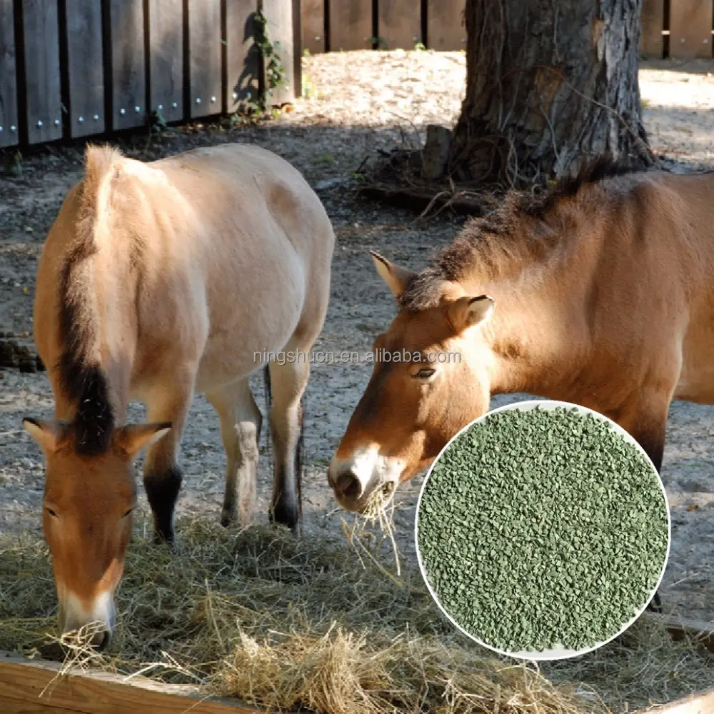 동물 돼지, 말, 가축 급식 첨가물을 위한 자연적인 비석 Clinoptilolite