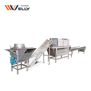กระเทียมเครื่องปอกเปลือก/กระเทียมปอก/กระเทียมอัตโนมัติสายการประมวลผล - Product Image 3