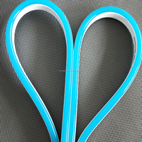 2019 populaire LED néon Flex lumière corde 7*17MM 12V 2.5CM pour enseignes au néon extérieures et lettres Double côtés éclairage