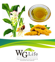 Extrait liquide de curcuma soluble dans l'huile E40-E120 UV pour colorant alimentaire, racine de curcuma, emballage en fût