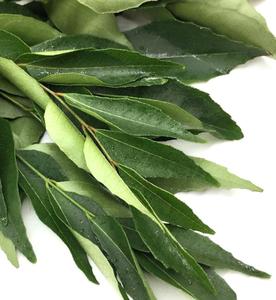 Cây Lá Cà Ri Dinh Dưỡng Khô Số Lượng Lớn Gia Vị Không Chất Bảo Quản 100G Lá Murraya Koenigii Để Bán - Product Image 3