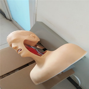 מודל אימון בית ספר <span class=keywords><strong>intubation</strong></span> מודל מניקור <span class=keywords><strong>cpr</strong></span> מניקור <span class=keywords><strong>cpr</strong></span> עם מכשיר מעורר למידה אינטובציה - Product Image 6