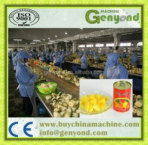 Mesin Pengolahan Nanas Kaleng Komersial / Mesin Pengalengan Irisan Nanas - Product Image 6