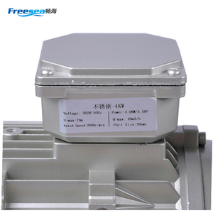 FREESEA 2020 Chất Lượng Tốt Nhất Phổ Biến Điện Hồ Bơi Bơm Động Cơ Máy Bơm Nước Áp Lực Cao Bơm Tuần Hoàn - Product Image 4