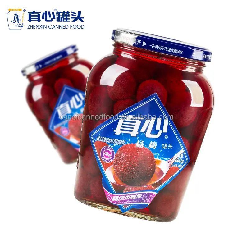 Ingeblikt Fruit Bayberry/Gagel In Siroop-Top 10 China Blik Voedsel Fabriek