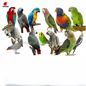 Figura de loros de animales de resina