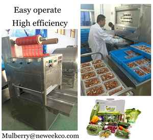 Neweek conserver la fraîcheur vert légumes d'étanchéité en plastique cas <span class=keywords><strong>emballage</strong></span> <span class=keywords><strong>sous</strong></span> <span class=keywords><strong>vide</strong></span> machine - Product Image 4