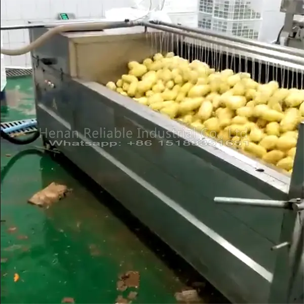 Máquina semiautomática para patatas fritas, línea de producción de 300 kg/h