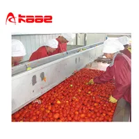 En iyi satış otomatik domates püresi üretim hattı makineleri işleme makinesi