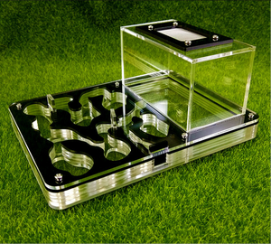 Helder Acryl Dier Huis Acryl Mierendoos - Product Image 2