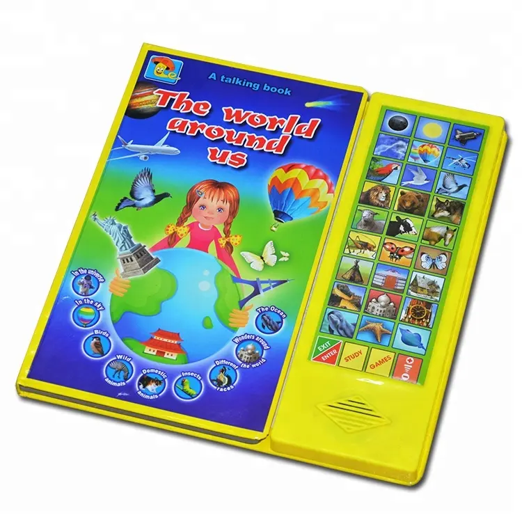 Livre sonore pour enfants, module sonore pour enfants, personnalisé, thème animaux,