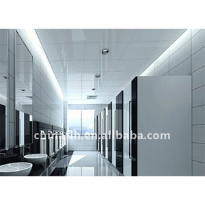 Portes de cubes de toilette portables en plastique stratifié, Hpl, Phenolic et Compact - Product Image 2