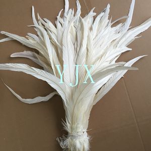 Plumes de poulet blanches longues blanchies en gros, plumes de queue de coq - Product Image 2