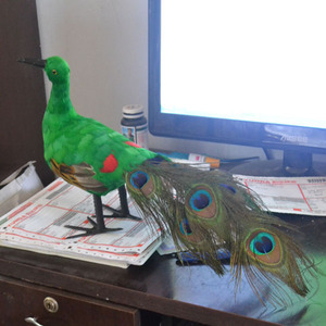 Decoración del hogar del tamaño grande Hobby Lobby plumas de pavo real - Product Image 4