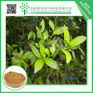 <span class=keywords><strong>Salvadora</strong></span> <span class=keywords><strong>Persica</strong></span> Ekstrak Bubuk 10:1 dari Nate - Product Image 2