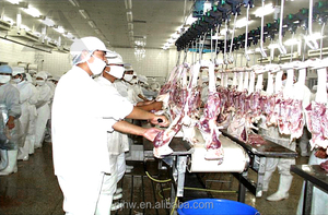 Turnkey Halal Gà Giết <span class=keywords><strong>M</strong></span>ổ Thiết Bị Với Công Suất 1000 Chim <span class=keywords><strong>M</strong></span>ỗi Giờ Hoàn Thành Gia Cầ<span class=keywords><strong>m</strong></span> Giết <span class=keywords><strong>M</strong></span>ổ Dòng - Product Image 6