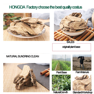 HONGDA Wholesale Costus <strong>Root</strong> <strong>Extract</strong> Costus <strong>Root</strong> Powder - Product Image 3