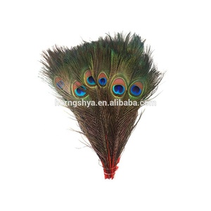 Plume de paon naturelle blanche pour fête carnaval maison pièce maîtresse noël vacances décor bricolage artisanat Floral Costume - Product Image 4
