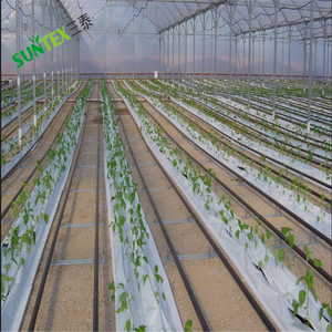 Đen Trắng Nhựa <span class=keywords><strong>Mulch</strong></span> Phim, Sử Dụng Nông Nghiệp Chống Cỏ Dại <span class=keywords><strong>Mulch</strong></span>, Tùy Chỉnh Kích Thước Lớn <span class=keywords><strong>Mulch</strong></span> Phim - Product Image 2