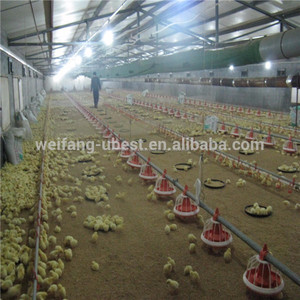 Automatique volaille farm barn équipement pour poulets de chair - Product Image 1