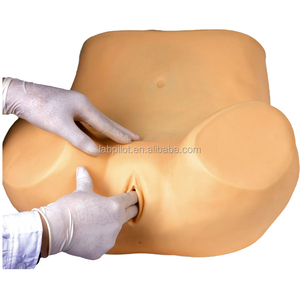 Mannequin d'entraînement complet pour examen gynécologique avec divers modèles de col de l'utérus et d'utérus - Product Image 2