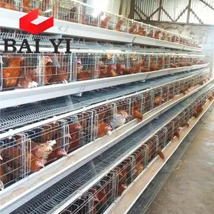 (מבצעים) 2019 כלוב לתרנגולות מטילים משמש עופות סוללה כלובי וחווה ציוד למכירה