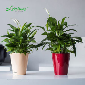 Compris in ensemble DELTINI Tout-en-Un pot de fleur en plastique pour <span class=keywords><strong>tillandsia</strong></span> plantes - Product Image 5