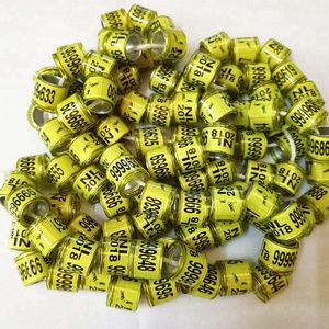 ญี่ปุ่นพิกษัตริย์แหวน2019 - Product Image 5