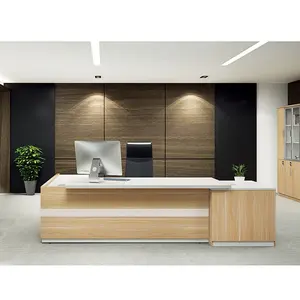 Modern Design Managing Director Executive Desk CEO Office Furniture(H85-0161)