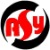 Huizhou Anshunye Electronics Co., Ltd. logo