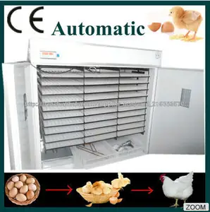 machine incubateur oeuf de canard CE approuvé automatique automatique 528 oeufs de volaille incubateur