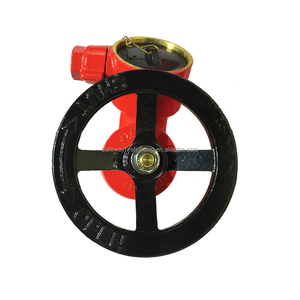 Hidrante contra incendios <span class=keywords><strong>John</strong></span> <span class=keywords><strong>Morris</strong></span> de 2.5 pulgadas con brida de 45 grados - Product Image 2