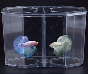 Hộp Nuôi Và Cách Ly Cá Giống Hồ Cá 2 Trong 1 - Product Image 1