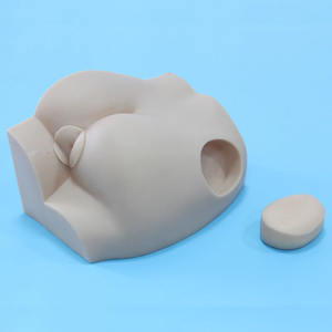 Hbuttocks ADA PVC insan vücudu anatomik tıbbi Model kalça kas kas içi enjeksiyon eğitimi için (insan yaşam boyutu) - Product Image 3