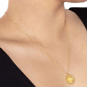 Gemnel 925 Popolare per Le Donne Cubic zirconia Bee moneta a lunga catena della <span class=keywords><strong>collana</strong></span> oro reale - Product Image 2