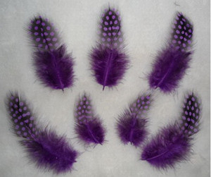 Guined Fowl Pluma Punto Para Hecho A Mano Regalo de La Decoración - Product Image 2