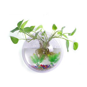 Dia 23Cm/29.5Cm Acryl Vissenkom Muurbevestiging Opknoping <span class=keywords><strong>Aquarium</strong></span> Aquatic Pet Supplies Producten <span class=keywords><strong>Aquarium</strong></span> Bloem plant Vaas - Product Image 2
