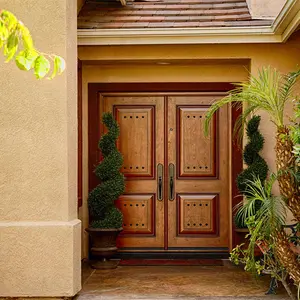 Puerta de entrada de palacio de lujo antiguo, estilo europeo, tallado a mano, de madera arquitectónica