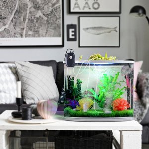 Pompe à air silencieuse pour aquarium 5W, <span class=keywords><strong>mini</strong></span> aérateur pour aquarium, pompe à oxygène, double sortie, pompe à air, 2 pierres à air/2M tubes en silicone - Product Image 6