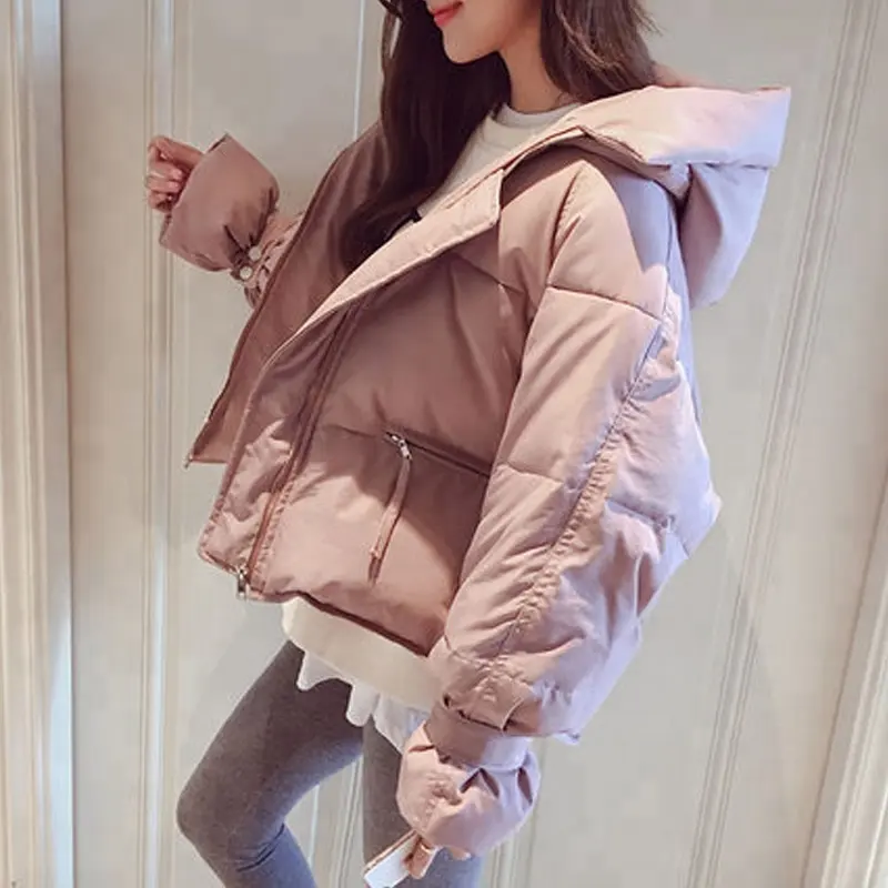 Jiaxing Pinghu FASHION 2019 OEM Custom Fashion Korean Polyester Padded Jacket Winter Short Student Hood Coat Jacket For Women