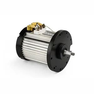 Terbaik Jual Produk Di Italia BLDC 24V Dc Traction Motor untuk Kendaraan Listrik