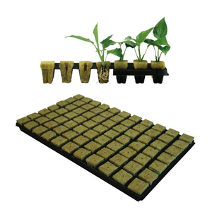 Sky plant Indoor Hydro ponic Vegetable <span class=keywords><strong>Grow</strong></span> Sämling wachsende Schwamm wolle Würfel - Product Image 2